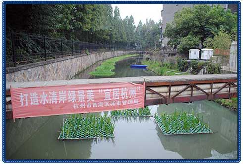 杭州2015年水质监测