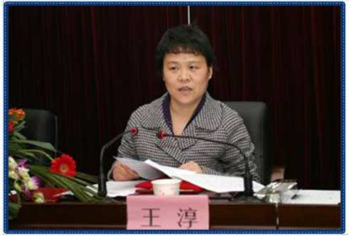 嘉兴市政协副主席王淳