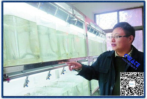 生物监测毒性系统