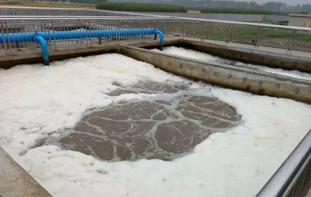 污水厂 污水厂