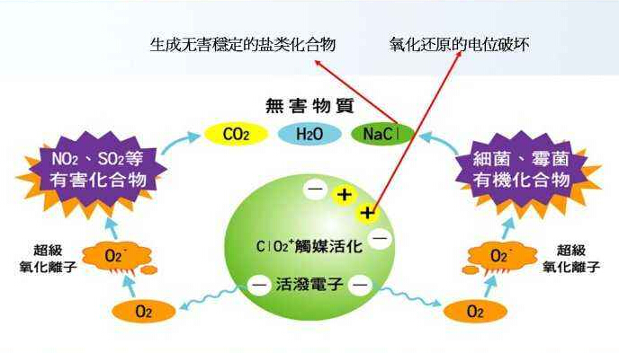 二氧化氯杀菌 二氧化氯杀菌
