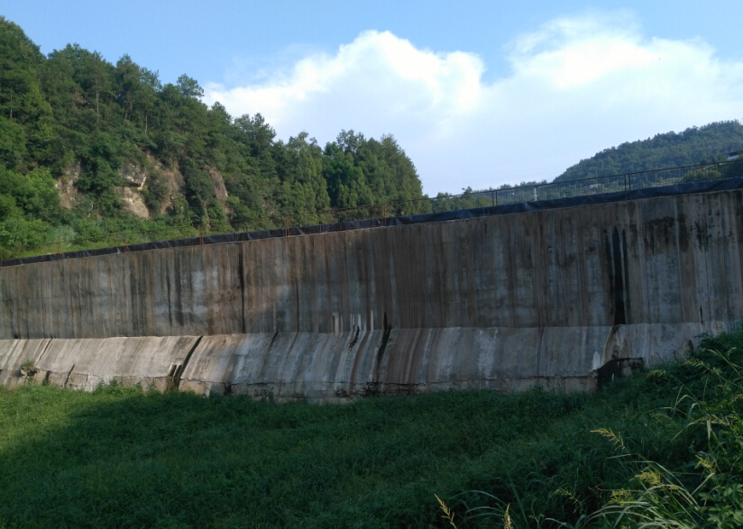 人工湿地 人工湿地