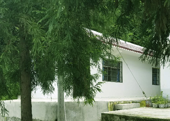 中国百里杜鹃