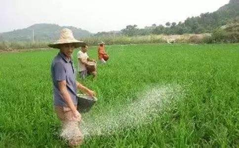 农药