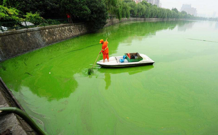 检测总磷的意义