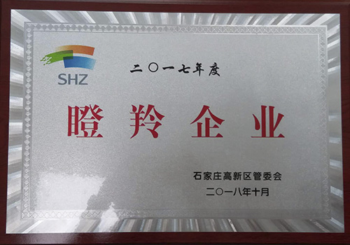 瞪羚企业