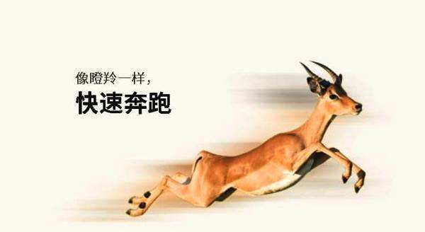 瞪羚企业