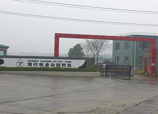 现代牧业合肥牧场